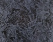 Столешница "Серебряный Лес" (38) 2000х600 мм