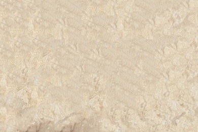 Katalog